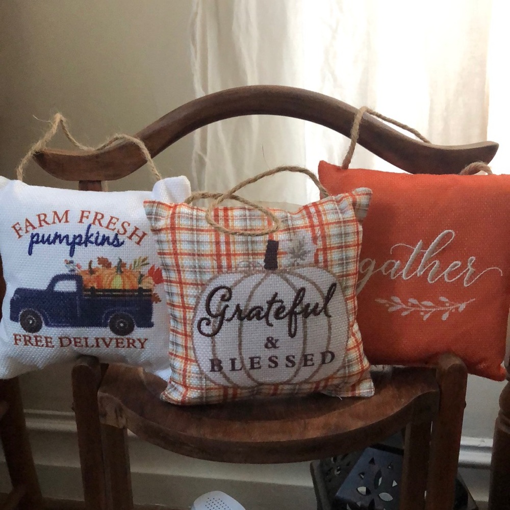 Fall Harvest or Thanksgiving Decorative Pillow Set